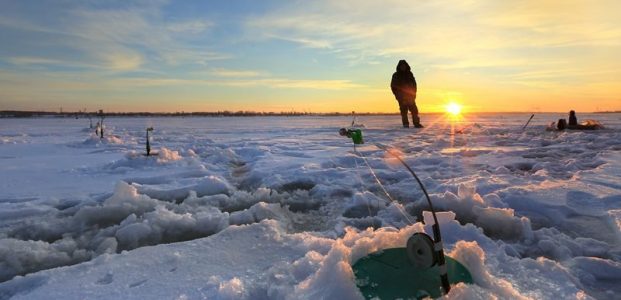Experience the Thrilling World of Ice Fishing at UK’s Top Live Casinos